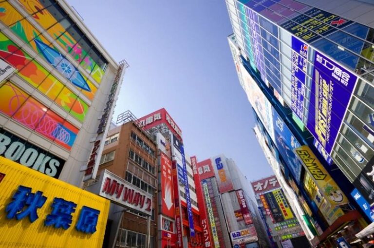 動漫代購 VS Mofusand代購：打造次元好物收藏庫